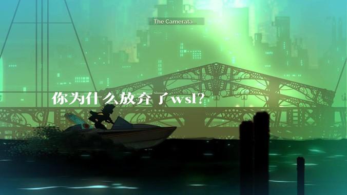 你为什么放弃了wsl?