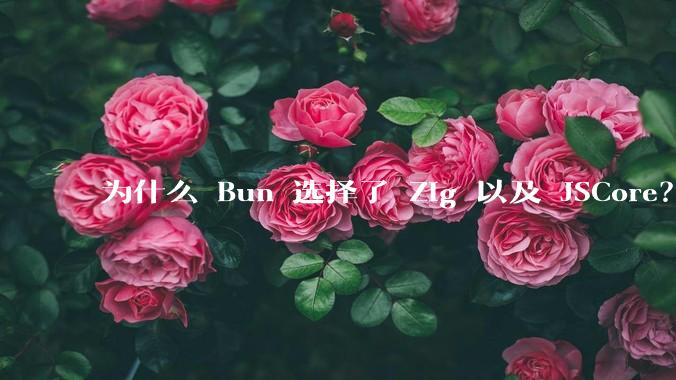 为什么 Bun 选择了 Zig 以及 JSCore?