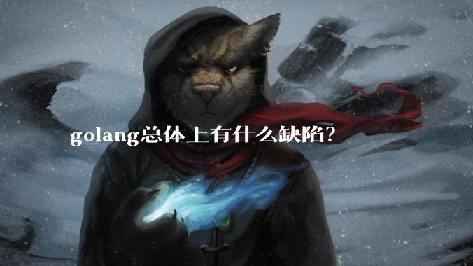 golang总体上有什么缺陷?