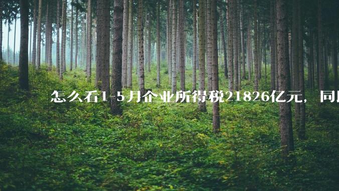 怎么看1-5月企业所得税21826亿元,同比下降2.5%;个人所得税6572亿元,同比增长8.2%?