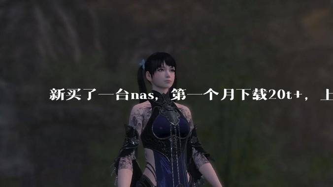 新买了一台nas,第一个月下载20t+,上传5+,不会被网警盯上吧?