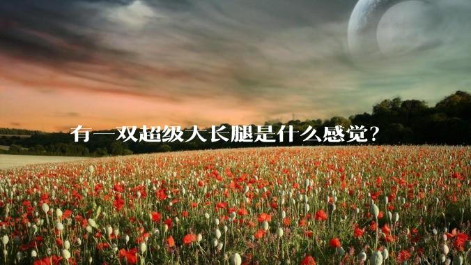 有一双超级大长腿是什么感觉?