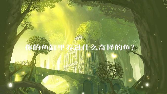 你的鱼缸里养过什么奇怪的鱼?