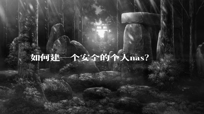 如何建一个安全的个人nas?