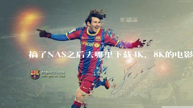 搞了NAS之后去哪里下载4K,8K的电影?