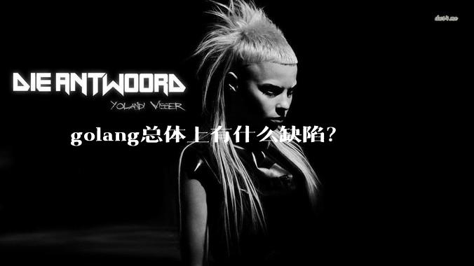 golang总体上有什么缺陷?