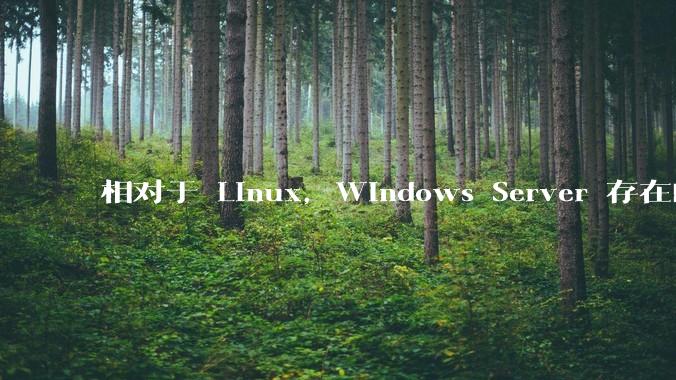 相对于 Linux,Windows Server 存在的意义是什么?