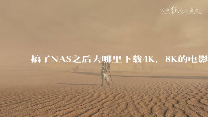 搞了NAS之后去哪里下载4K,8K的电影?