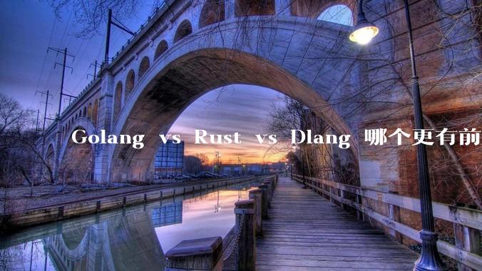 Golang vs Rust vs Dlang 哪个更有前途,哪位大牛这 3 门语言都用过?