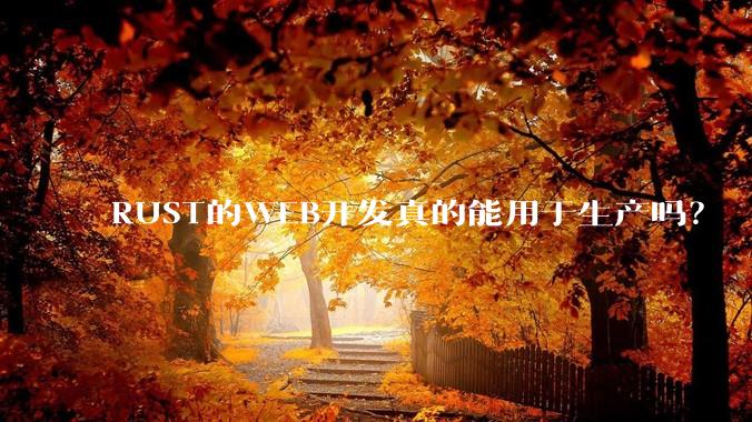 RUST的WEB开发真的能用于生产吗?