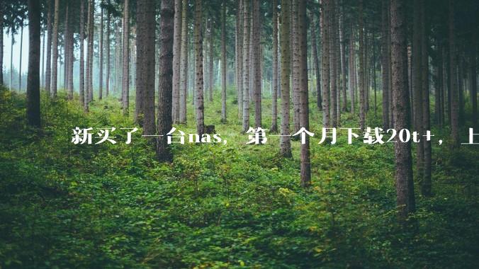 新买了一台nas,第一个月下载20t+,上传5+,不会被网警盯上吧?