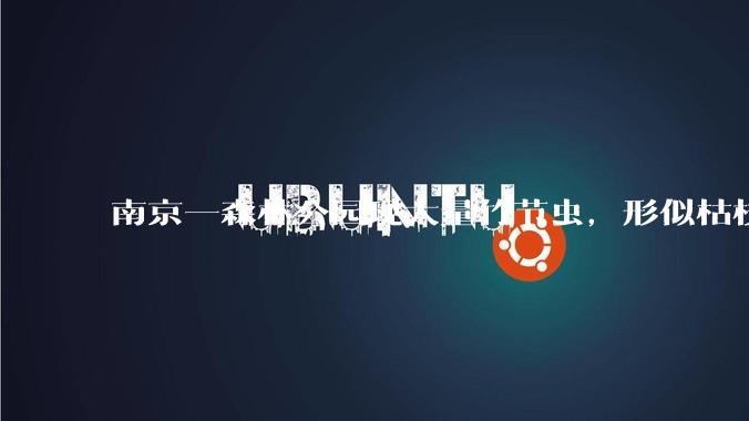 南京一森林公园现大量竹节虫,形似枯枝,网友称凑近才发现是虫子落荒而逃,竹节虫会不会咬人?碰到它会怎样?