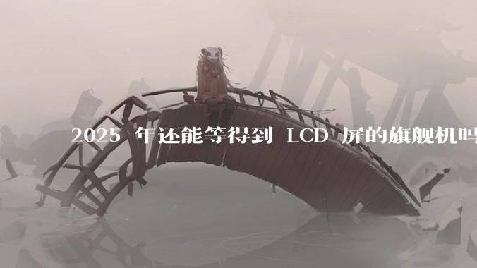 2025 年还能等得到 LCD 屏的旗舰机吗?