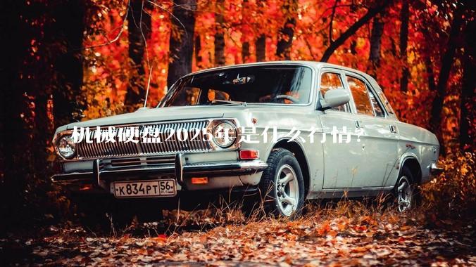 机械硬盘2025年是什么行情?