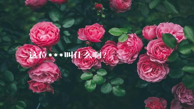 这位***叫什么啊?