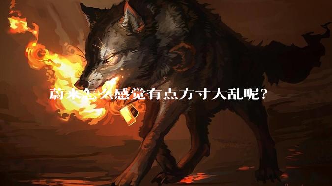 蔚来怎么感觉有点方寸大乱呢?