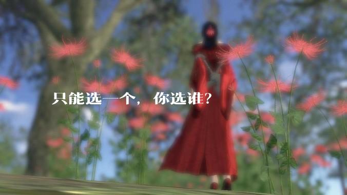 只能选一个,你选谁?