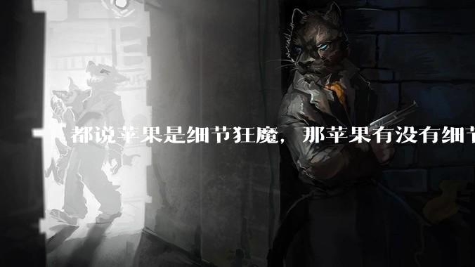 都说苹果是细节狂魔,那苹果有没有细节其实做的很差的点?