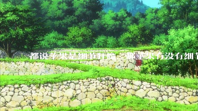 都说苹果是细节狂魔,那苹果有没有细节其实做的很差的点?