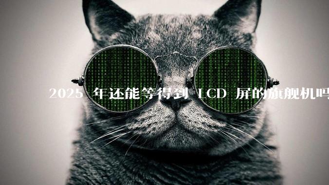 2025 年还能等得到 LCD 屏的旗舰机吗?