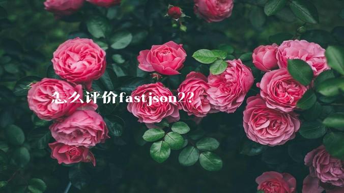 怎么评价fastjson2?