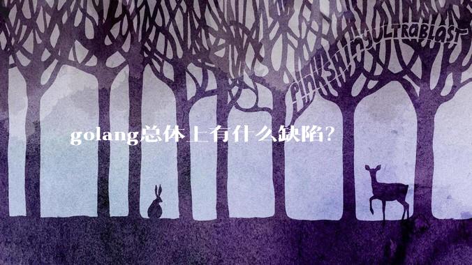 golang总体上有什么缺陷?