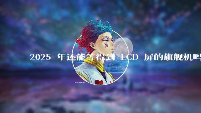 2025 年还能等得到 LCD 屏的旗舰机吗?