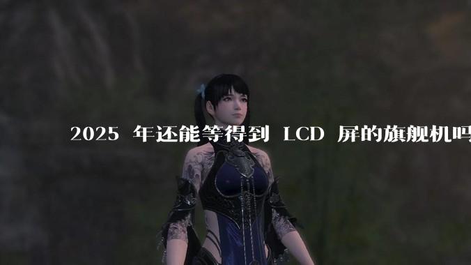 2025 年还能等得到 LCD 屏的旗舰机吗?
