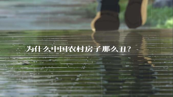 为什么中国农村房子那么丑?