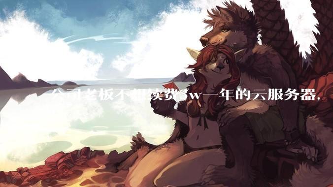 公司老板不想续费3w一年的云服务器,合理吗?