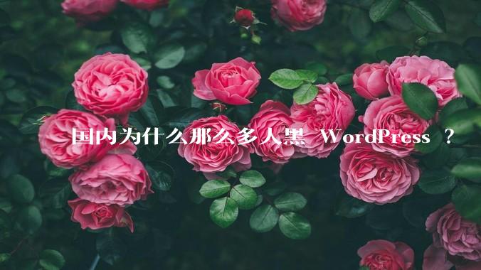 国内为什么那么多人黑 WordPress ?