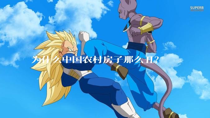 为什么中国农村房子那么丑?