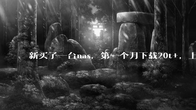 新买了一台nas,第一个月下载20t+,上传5+,不会被网警盯上吧?