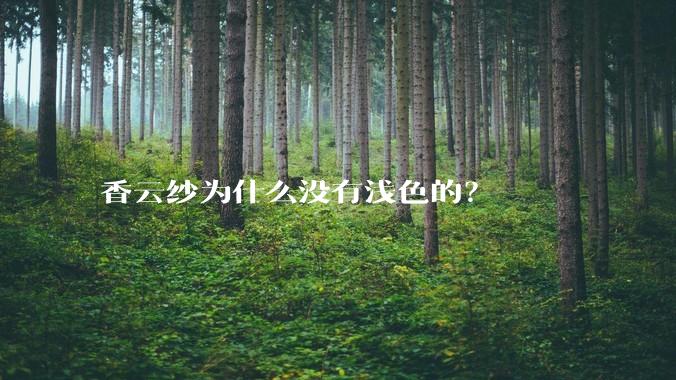 香云纱为什么没有浅色的?