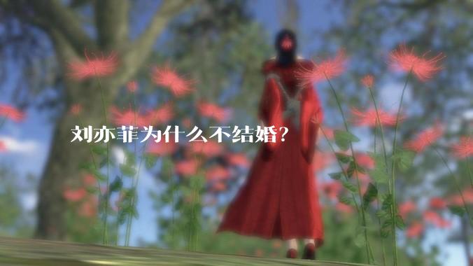 刘亦菲为什么不结婚?