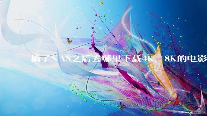 搞了NAS之后去哪里下载4K,8K的电影?