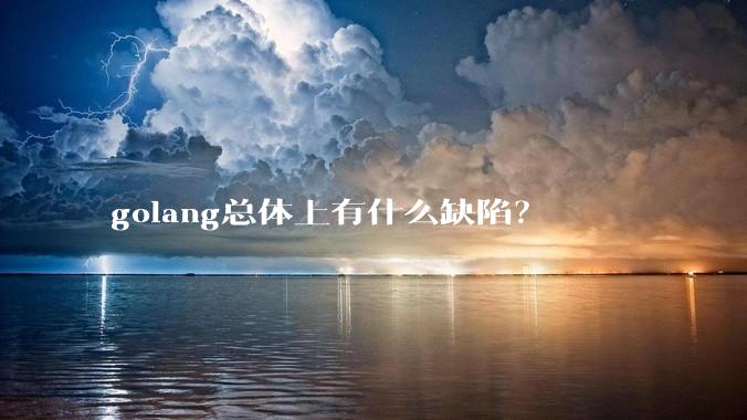 golang总体上有什么缺陷?