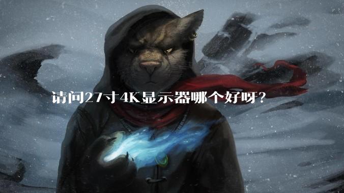 请问27寸4K显示器哪个好呀?