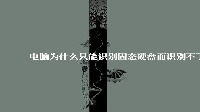 电脑为什么只能识别固态硬盘而识别不了机械硬盘?