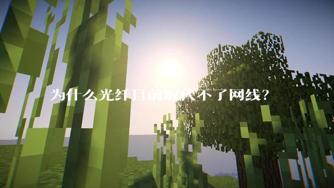 为什么光纤目前取代不了网线?