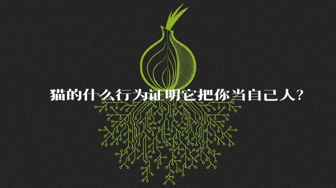 猫的什么行为证明它把你当自己人?