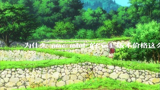 为什么 mac mini 的 m4 版本价格这么低呢?