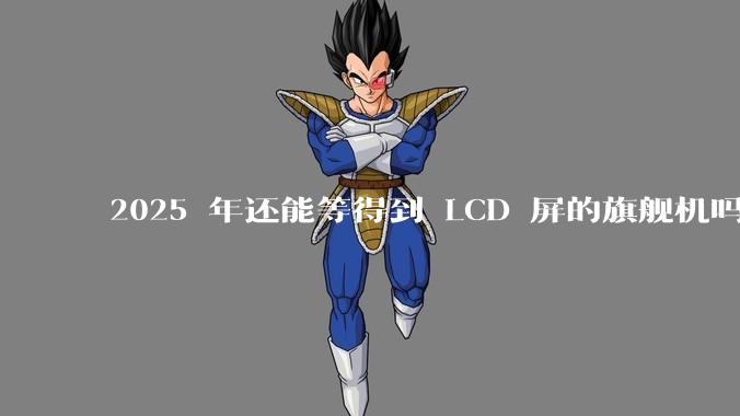 2025 年还能等得到 LCD 屏的旗舰机吗?