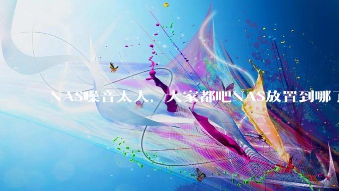 NAS噪音太大,大家都吧NAS放置到哪了?