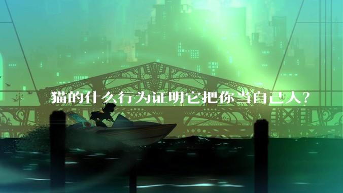 猫的什么行为证明它把你当自己人?