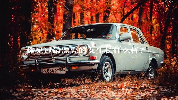 你见过最漂亮的女生长什么样?