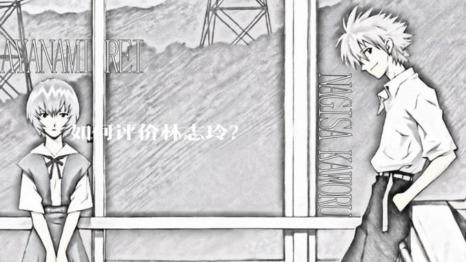 如何评价林志玲?