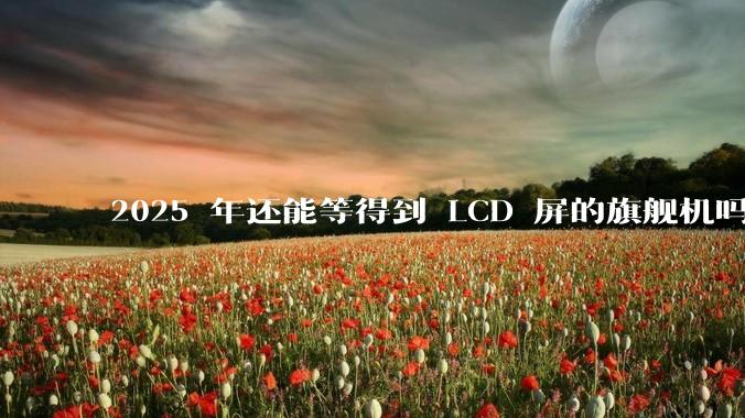 2025 年还能等得到 LCD 屏的旗舰机吗?