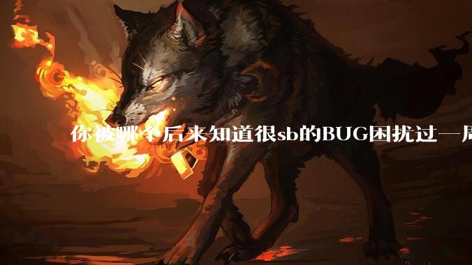 你被哪个后来知道很sb的BUG困扰过一周以上吗?