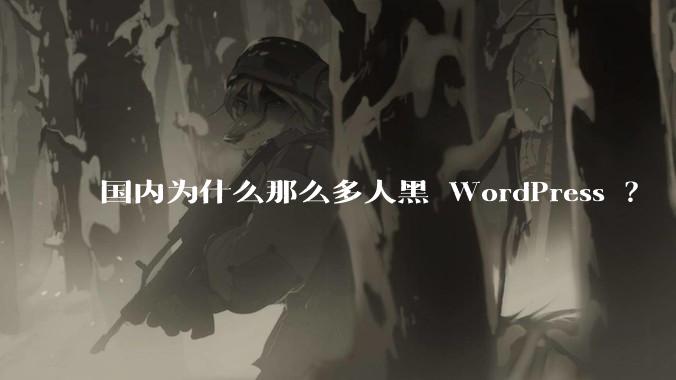 国内为什么那么多人黑 WordPress ?